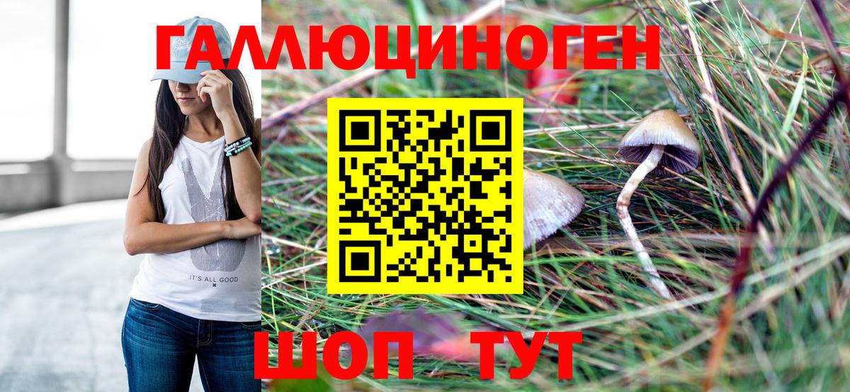 Таганрог  Галлюциногенные грибы GOLDEN TEACHER  Псилоцибиновые грибы Psilocybine cubensis  Вход с VPN 